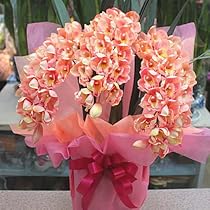 エミリオロバ シンビジューム シンビューム 蘭 造花 フランフラン 好きな方も エミリオロバ シンビジューム シンビューム 蘭 造花 フラン